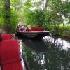 September 2015 Spreewald